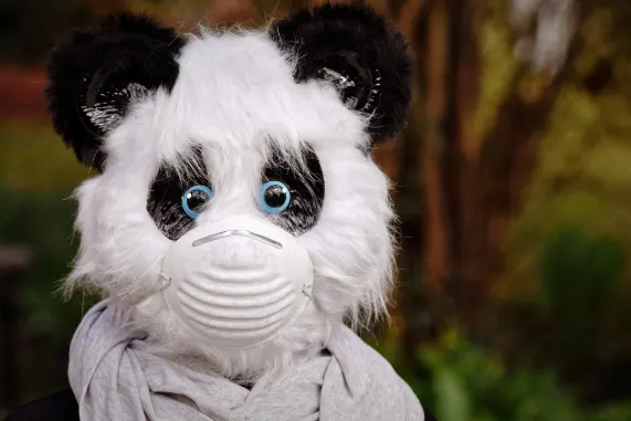 Casino Eight Storm Kundeservice